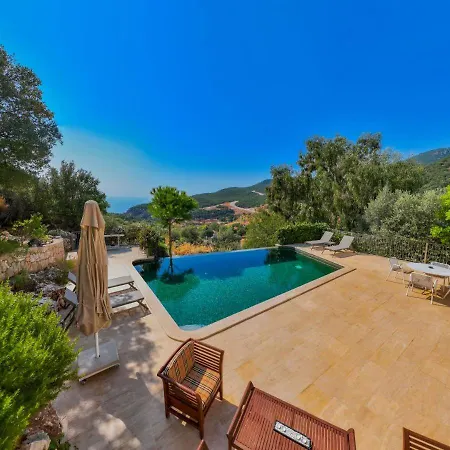 Andiz * ينيكوي